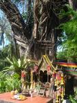 A "spirit house" on Phi Phi.