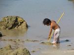 A little boy looking for crabs.