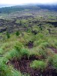 Following the path of old lava flows.