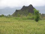 Scenery as we decend the volcano.