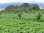 A local farm.