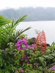 Red and purple flowers scream color out of the jagged volcanic rock.