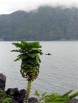 Lake Batur.