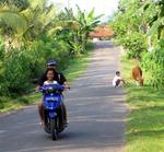 Balinese road.