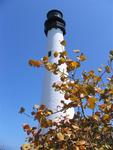 Cape Florida Lighthouse, she's saved thousands of ships from being riped open and sunk.