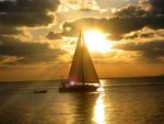 Sunset sailor.