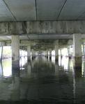 Under one of the many bridges that connects the Keys to mainland Florida.