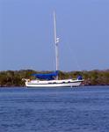 Scirocco anchored in the mangroves.