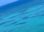 The Dry Tortugas is a place where snorkelers have the sea all to themselves.  Can you find the people in this photo?