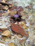 Fragments of fort washed ashore.