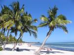 The beach in Key West has plenty of "flex" appeal.