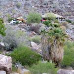 That's our palapa on the hillside.