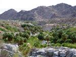 Guadelupe Canyon.