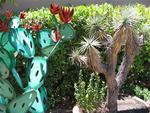 Cactus art.