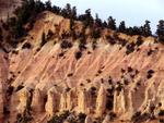 How the process of erosion begins.  In a few million years, there will be hoodoos here.