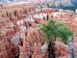 Bryce Canyon is one of 380 National Parks in the USA.