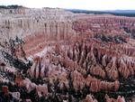 The bristlecone pines at Bryce's highest elevation are more than 1600-years-old.