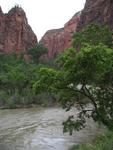 Zion's scenery is stunning and dramatic.