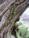 Weeping rock, sometimes nature does cry.