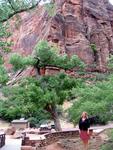 Cherie in Zion National Park.