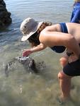 Diane playing with an otter.  Kids, don't do this at home.