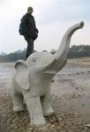 Kids, don't try this at home.  Standing on an elephant is harder than it looks.