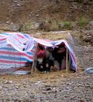 If you work on the shores of the Li River, you get to live smashed in this sturdy tent surrounded by some of the world's most beautiful scenery.