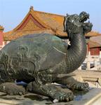 Even this turtle, a symbol of longevity in China, has frost on his toes.