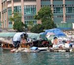 Now Aberdeen Harbor is a refuge for a different kind of rogue--the "boat people" (and their pets!)