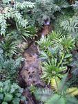 One of Hong Kong's lush parks.