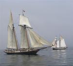 Tallships lurk through the calm water like relics from another time.