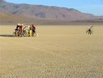 Burning Man tumbleweed?