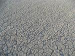 All of this art lies on the cracked canvas of the Black Rock Desert in Nevada.