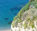 People swimming in the Tyrrhenian Sea.