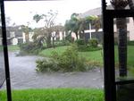 A tree tumbles across the lake.