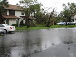 The water rises as the storm drains are blocked with fallen debris.