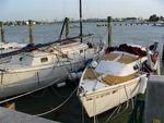 Masses of boats at Miami Yacht Club were dismasted by Wilma.