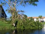Hurricane Wilma survivors wake up to a clear blue sky the next day.