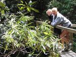 Hannah and Marjo warm up in a spot of sun.