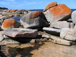 The colorful rocks of Bicheno.