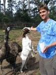 Eric feeds a goat.