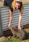The wombat's teeth tickle!