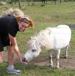 I am going to feed this horse until it weighs more than me.