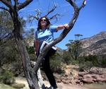 Hilda climbs a tree to get a better view.  