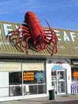 Now that's a big bug!  You need a vat of butter to dip that lobster in.