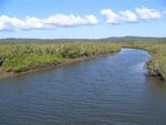 Winding our way through the mangroves.