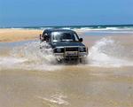 Making a splash in Fraser Island.