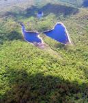 This lake on Fraser Island looks like a butterfly. *Photo by Peter.