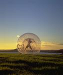 Who is up for a sunset zorb? *Photo courtesy of Agrodome.