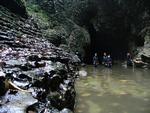 Caves are cool (and moist.)